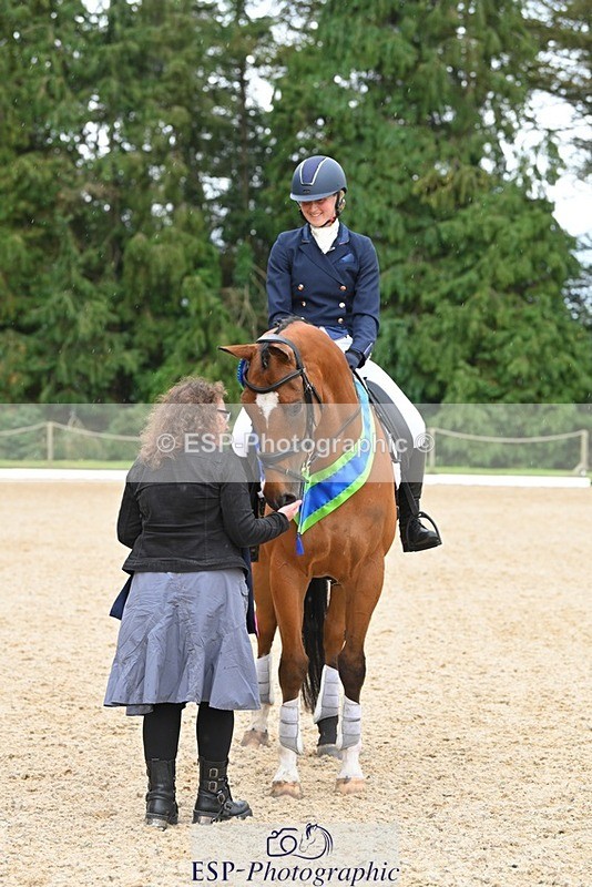 230813-162850-08309 - Medium Bronze Presentations