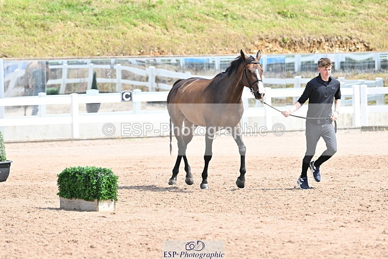 240717A-151901-02744 - Trot Up 3pm to 4pm