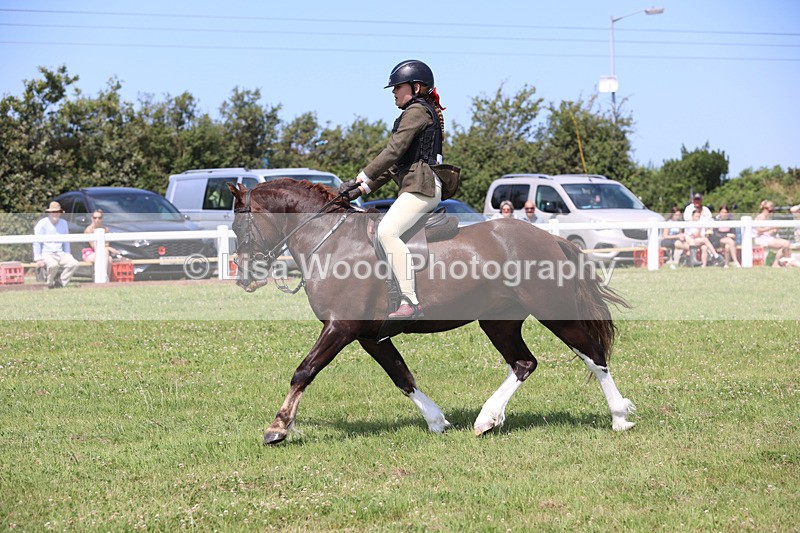 JPP_2410 - Class 21: Working Hunter 60cm