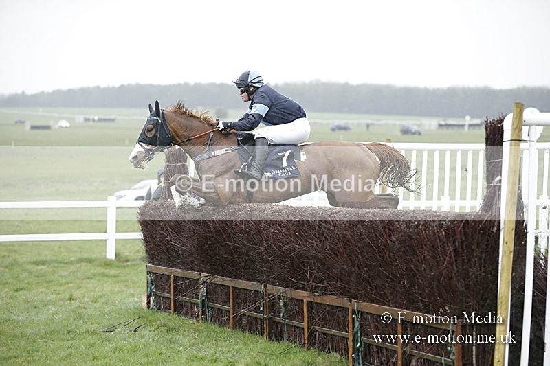 PtP 150320 0185 - New Forest Point-to-Point Larkhill 15/03/20