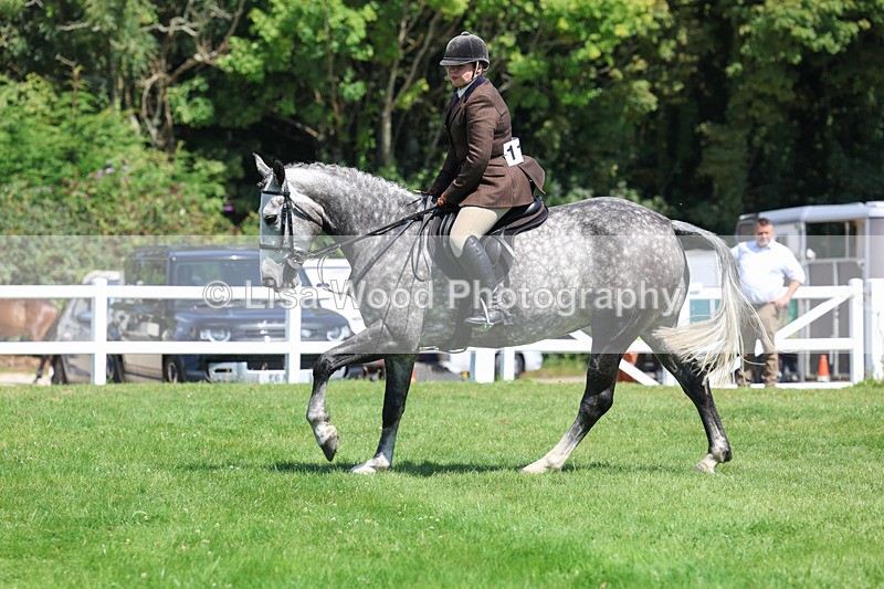 3E7A8969 - Class 6: Open Working Horse