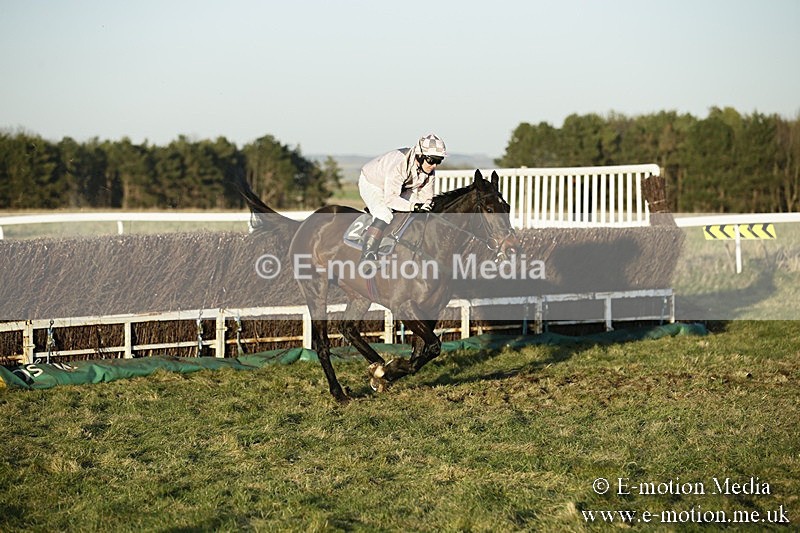 PtP 070118 -711 - Larkhill Racing Club Point to Point Larkhill 07/01/2018