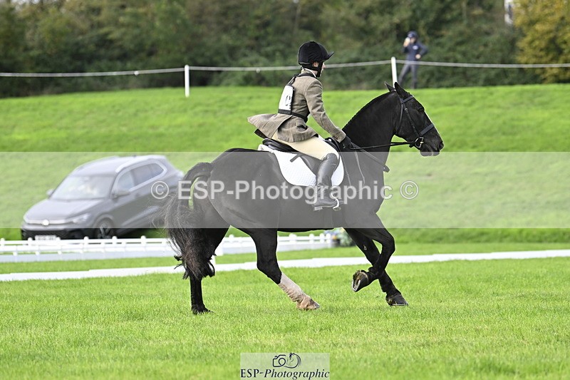 251023A-110115-02985 - F-410-Kt.English-Baillie