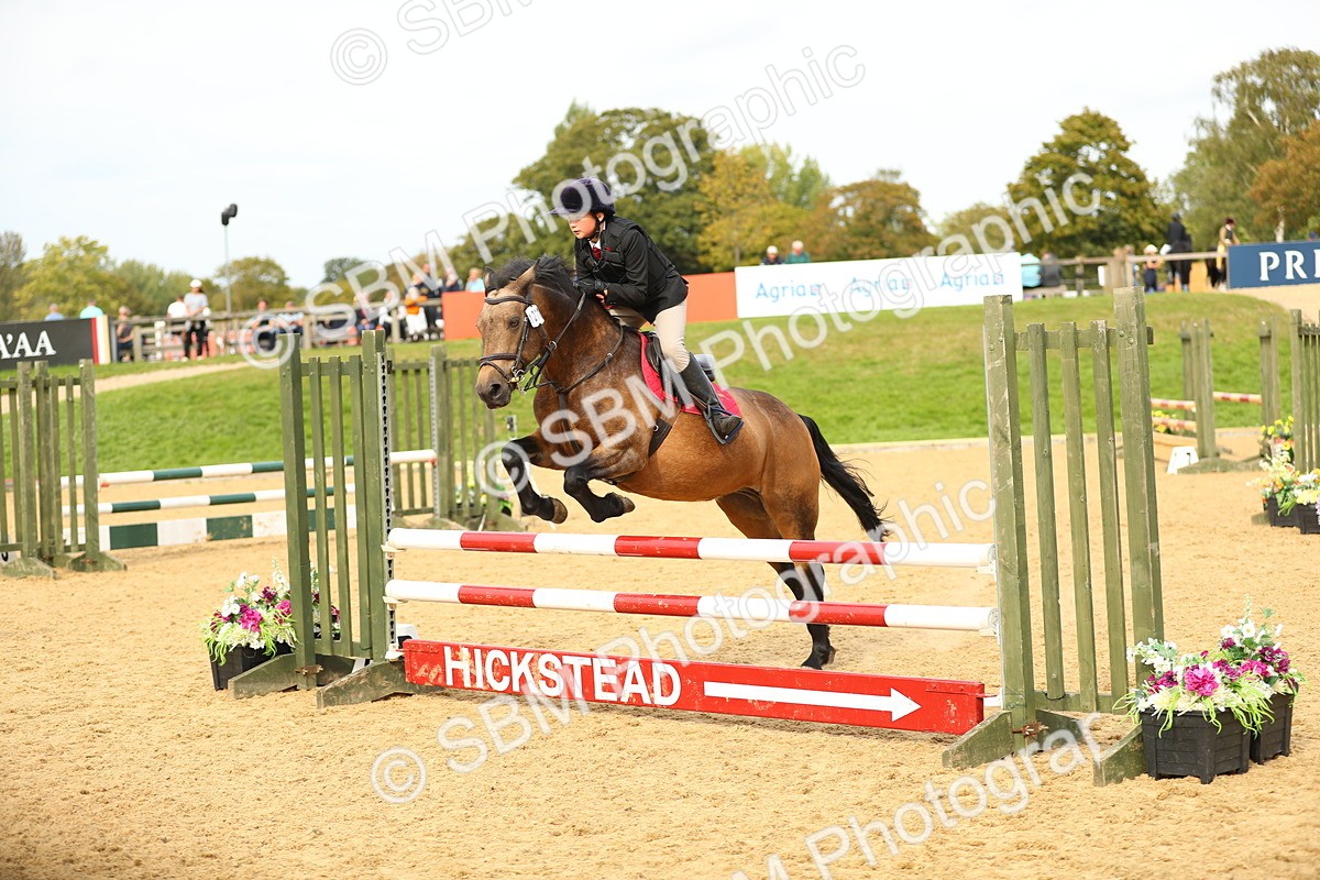SBM_71237 - J18 - Junior Pony 85cm Championship