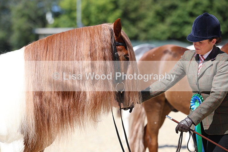 3E7A9924 - In Hand Championship