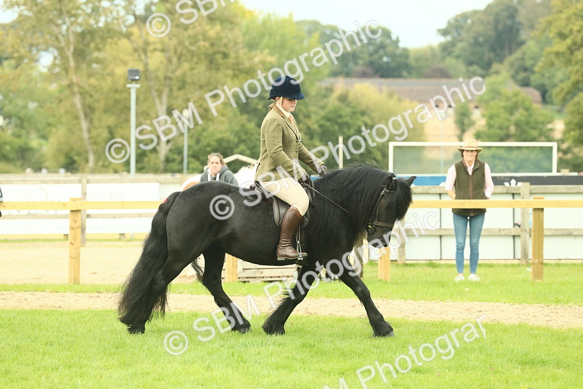 SBM_71922 - S60 - Mountain & Moorland Ridden Large Breeds