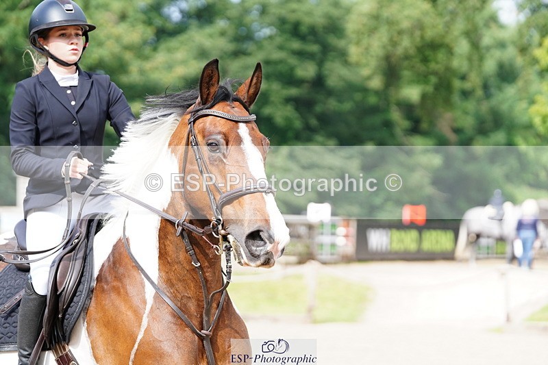 250615A-091714-09804 - Class 43 British Novice 90cm Open