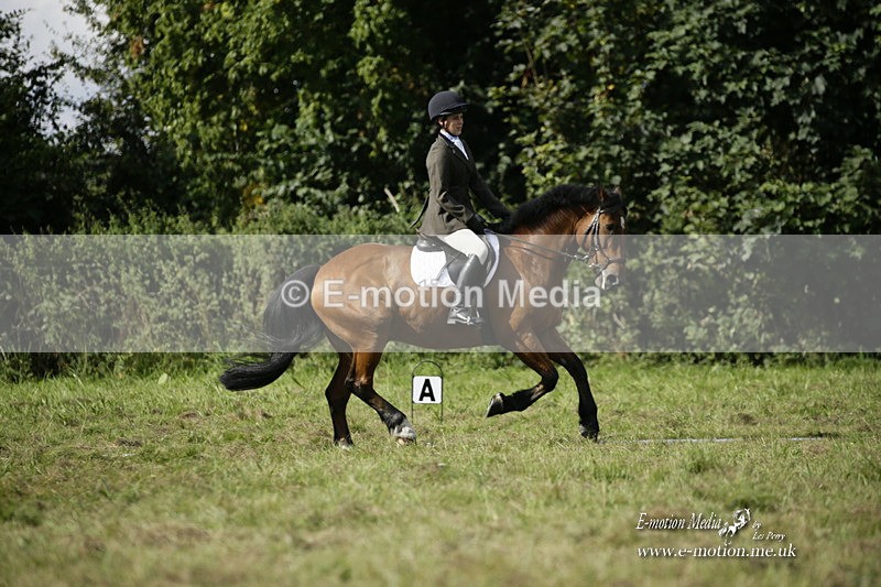 BVRC 120921 329 - Bourne Valley Riding Club UA Dressage & Show Jumping 12/09/21