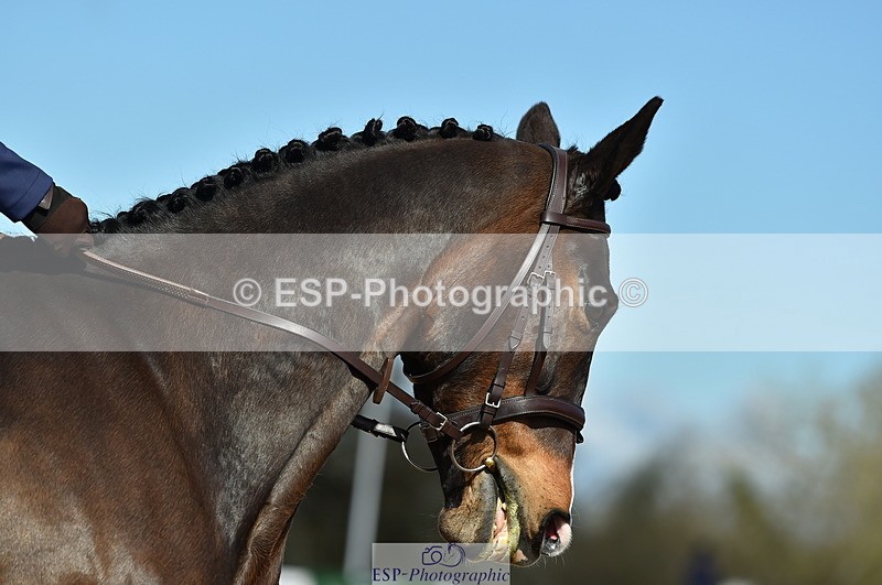230415A-104740-00833 - Cls 11 CT Prelim 12 10.34 to 12.12 break