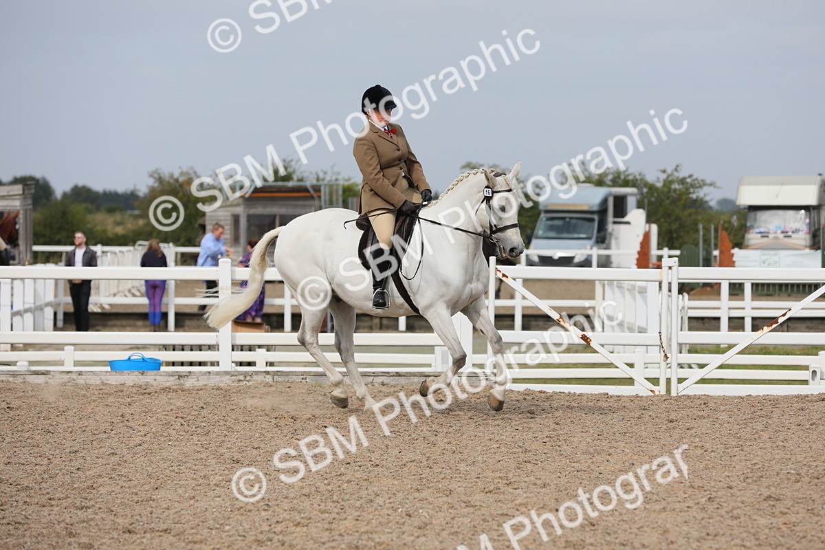 SBM_16997 - Class 314 Family Horse/Pony