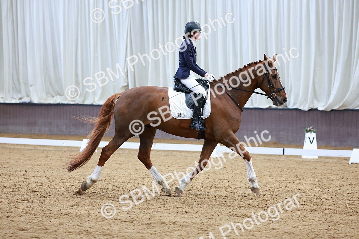 SBM_001453 - Class 5 - Novice 5