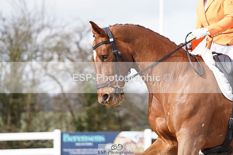 250322-110610-00205 - DR Elementary 1 Test