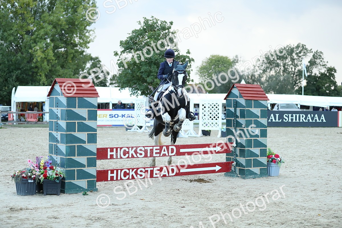 SBM_53704 - Supreme Championship 65cm 70cm