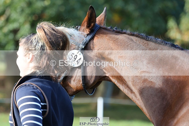 241027-102802-15905 - 594-Miya.Johns-BOWHAYLANDS.SKYFALL