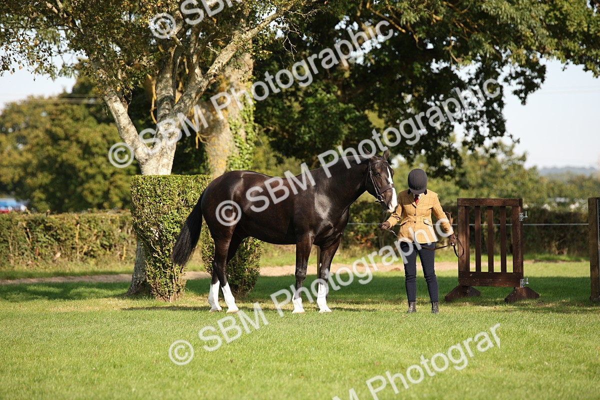 SBM_61176 - S54 - Show Cob In Hand