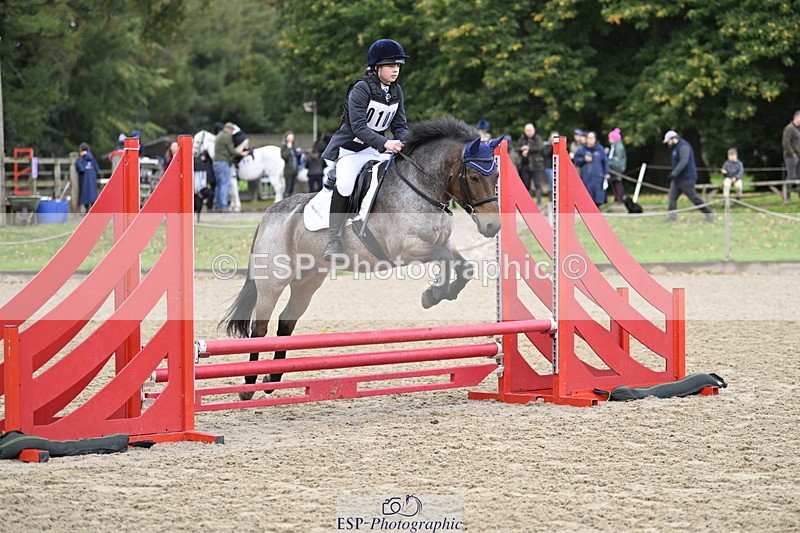 251005A-093546-03021 - Cls 03 GR 60cm