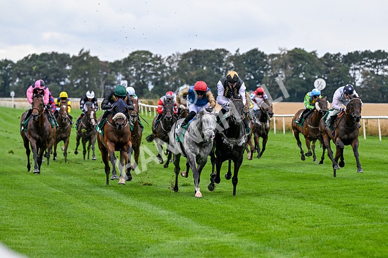 280826-Race 4-Deep Havana-4491 - Race 4 4pm Ivegate Building Handicap