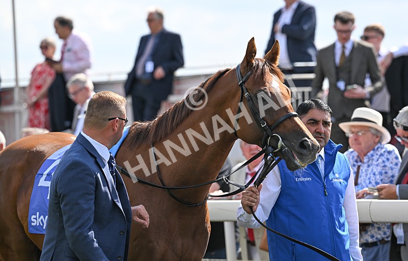220826-045 Notable Speech - Race 3 15.00pm Sky Bet City Of York Stakes