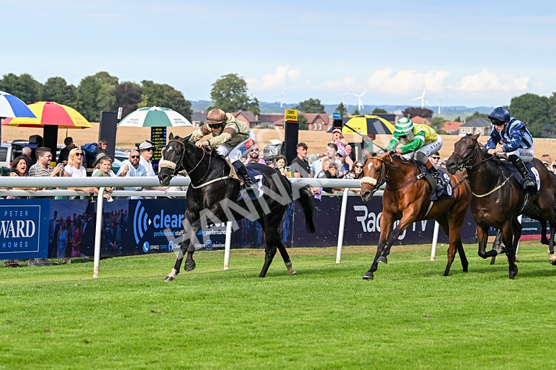 290725-Race 6-Jojo Rabbit-1005 - Race 6