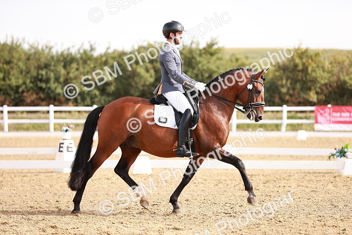 SBM_016978 - Class 10 - Medium 6