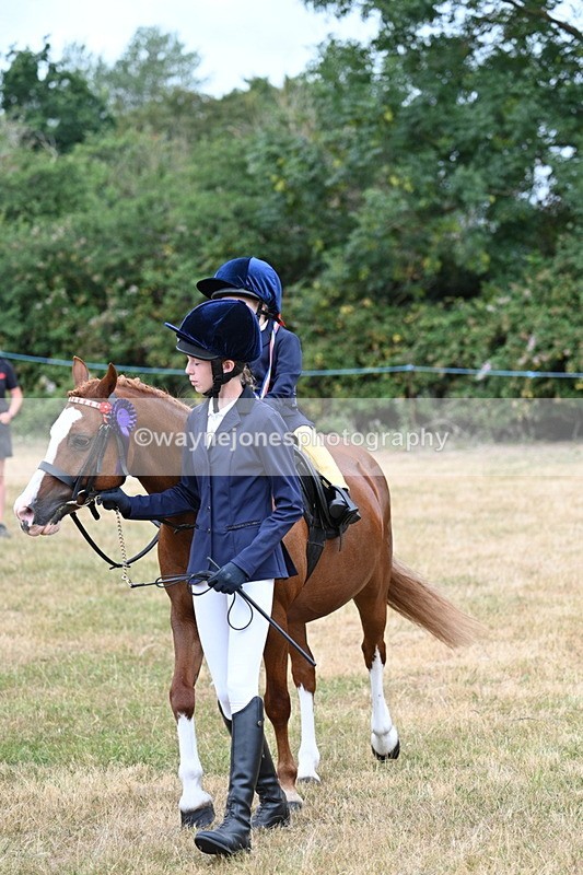 WJ7_9975 - Class 1 Lead Rein Pony