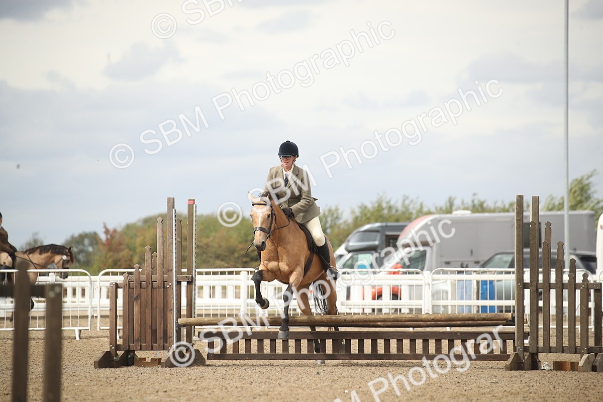 SBM_16595 - Class 507a - Working Veteran - 60cm (15-19)