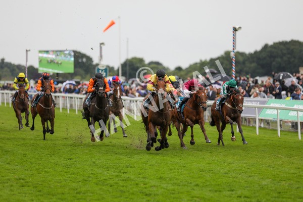 150624-Race 6-Pisanello-6240 - Race 6 4.45pm Ice Co Supporting Macmillan Handicap