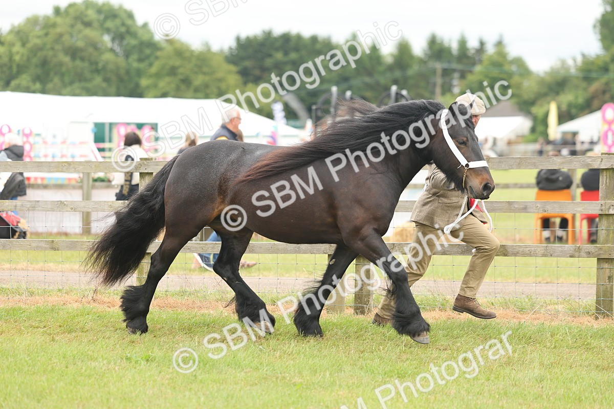 SBM_05050 - Class 50-57 - M&M Welsh Pony In Hand