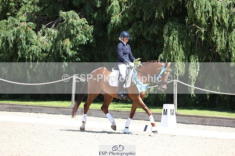 230811-131647-01502 - Adv Medium Silver Presentations