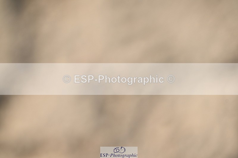 260222A-134011-01028 - 70cm All sections