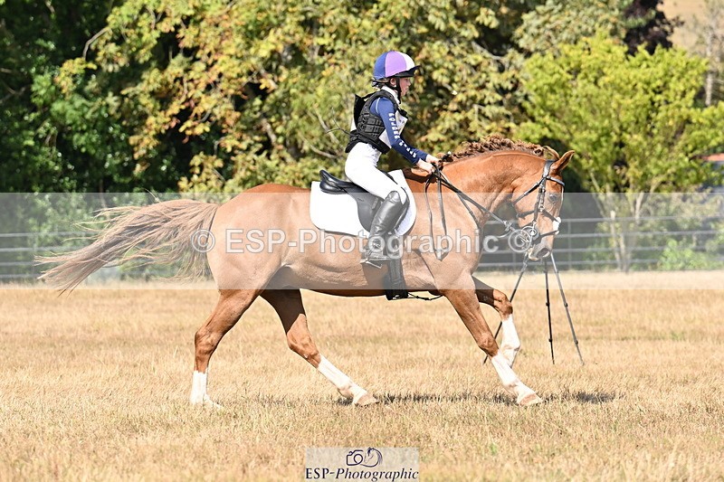 250824A-142836-37785 - 2164-Violet.Guerin-What's.his.name