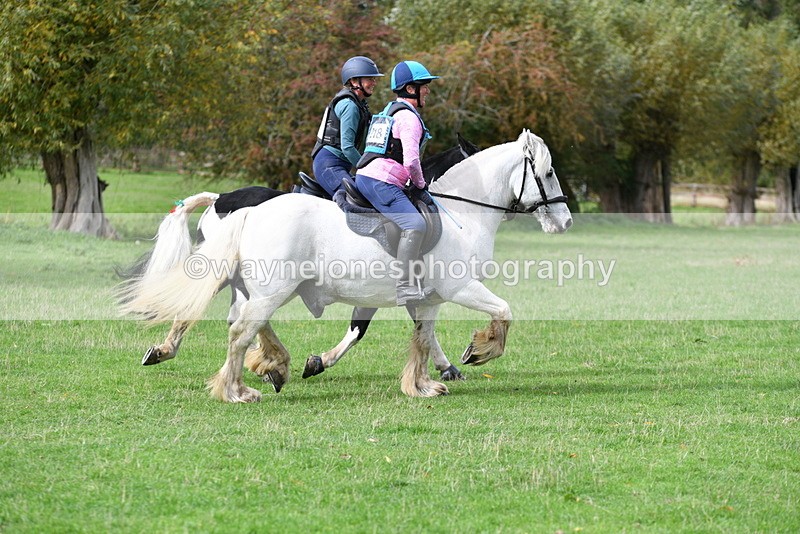 WJ5_0007 - Time 13:25 to 13:58