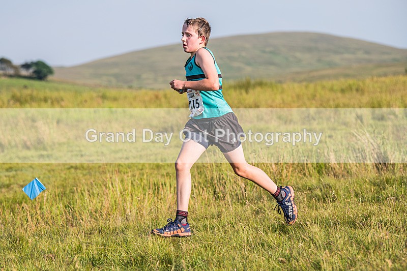Tebay-290 - Tebay Fell Race Wednesday 26th June 2024