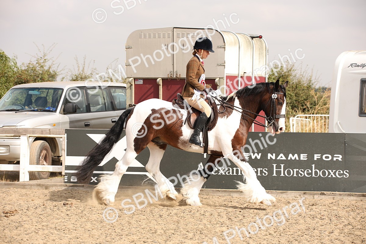 SBM_11711 - Class 404b Junior Working Veteran- 40cm(20+)