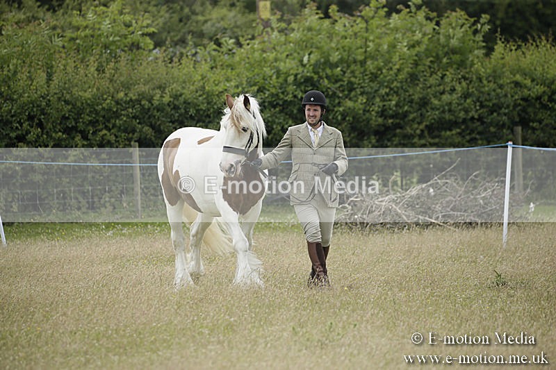 B230619-0697 - Bourne Valley Riding Club Summer Show 23/06/19