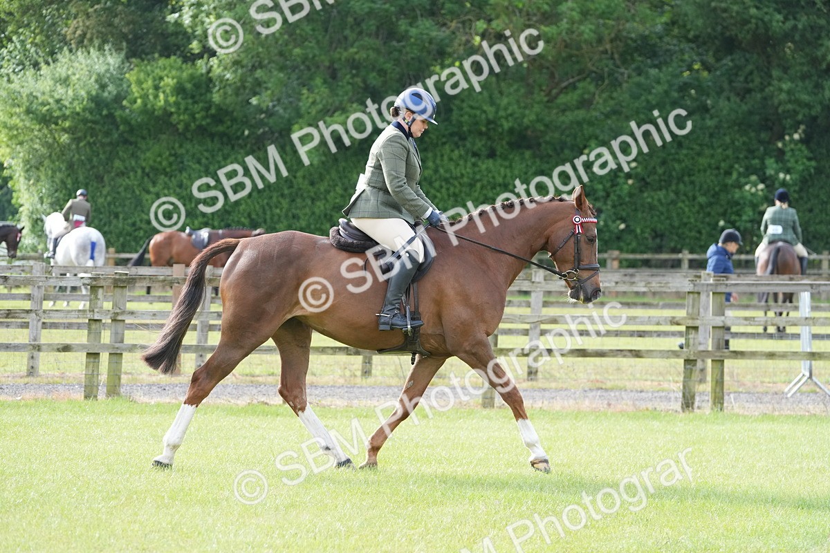 SBM_10568 - Class 97-98 - LIHS BSHA Rising Star Working Show Horse Hunter