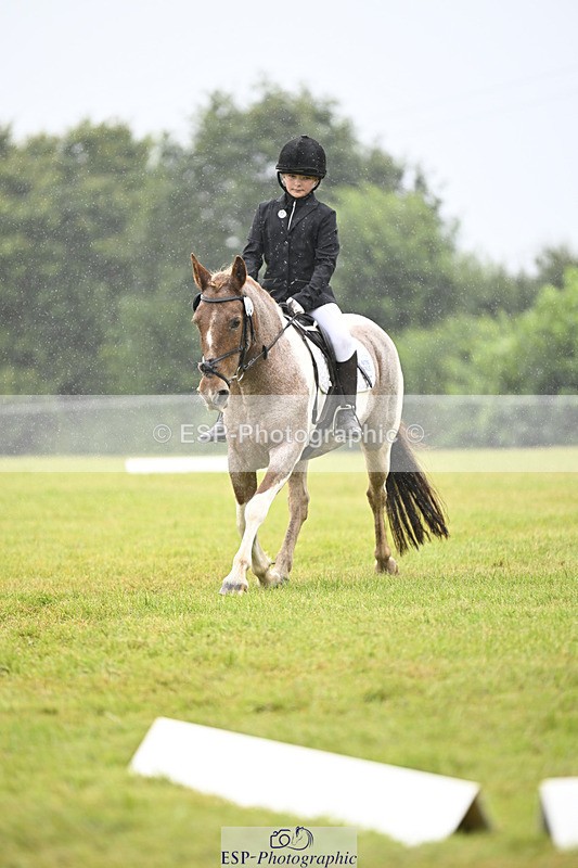 240824X-100719-21519 - D70 Section A and B 9.30 to 10.40