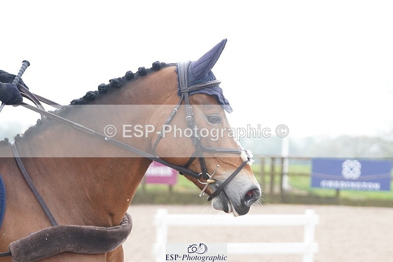 250419-102828-08355 - 458-Kath.Bragg-RUMOUR.HAZIT