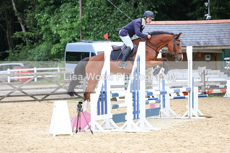 3E7A3190 - Class 4: Senior British Novice/90cm open