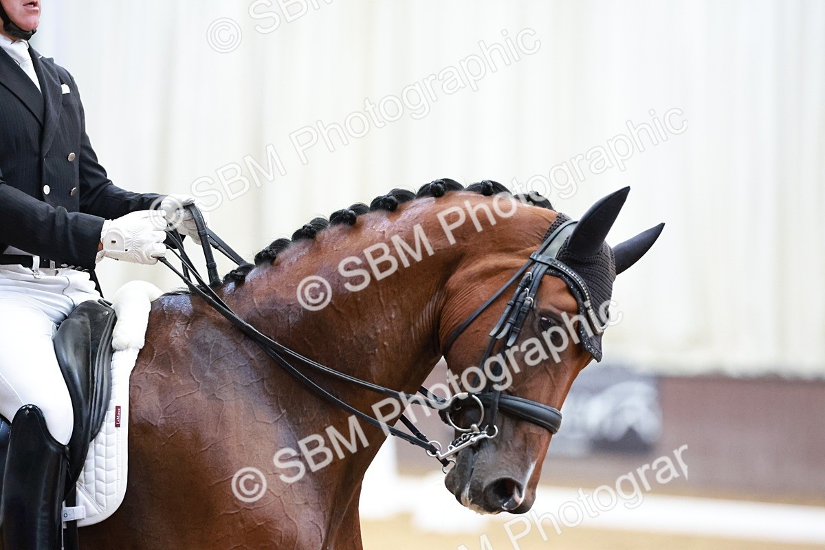 SBM_019961 - Class 12 - FEI PSG - 14.12-15.00