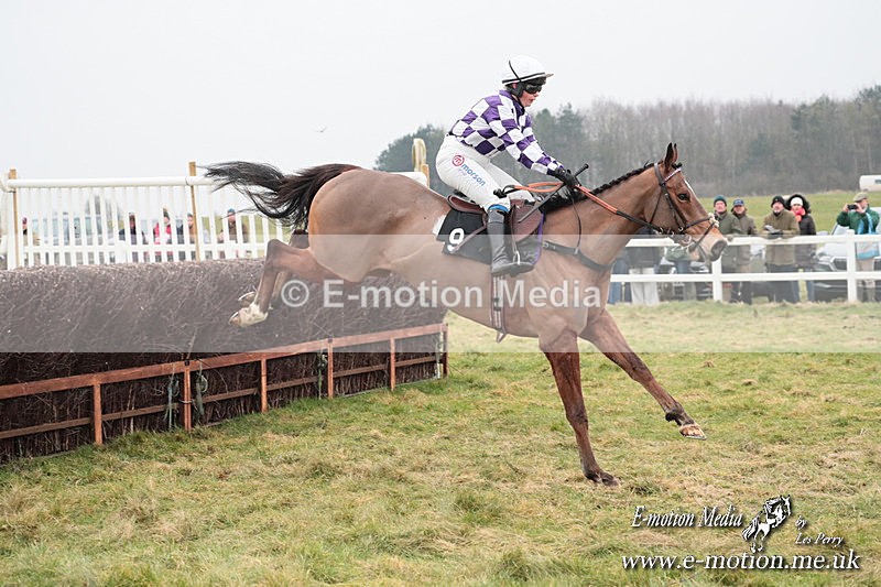 PtP 160225 798 - Combined Service Point-to-Point Races Larkhill 16/02/25