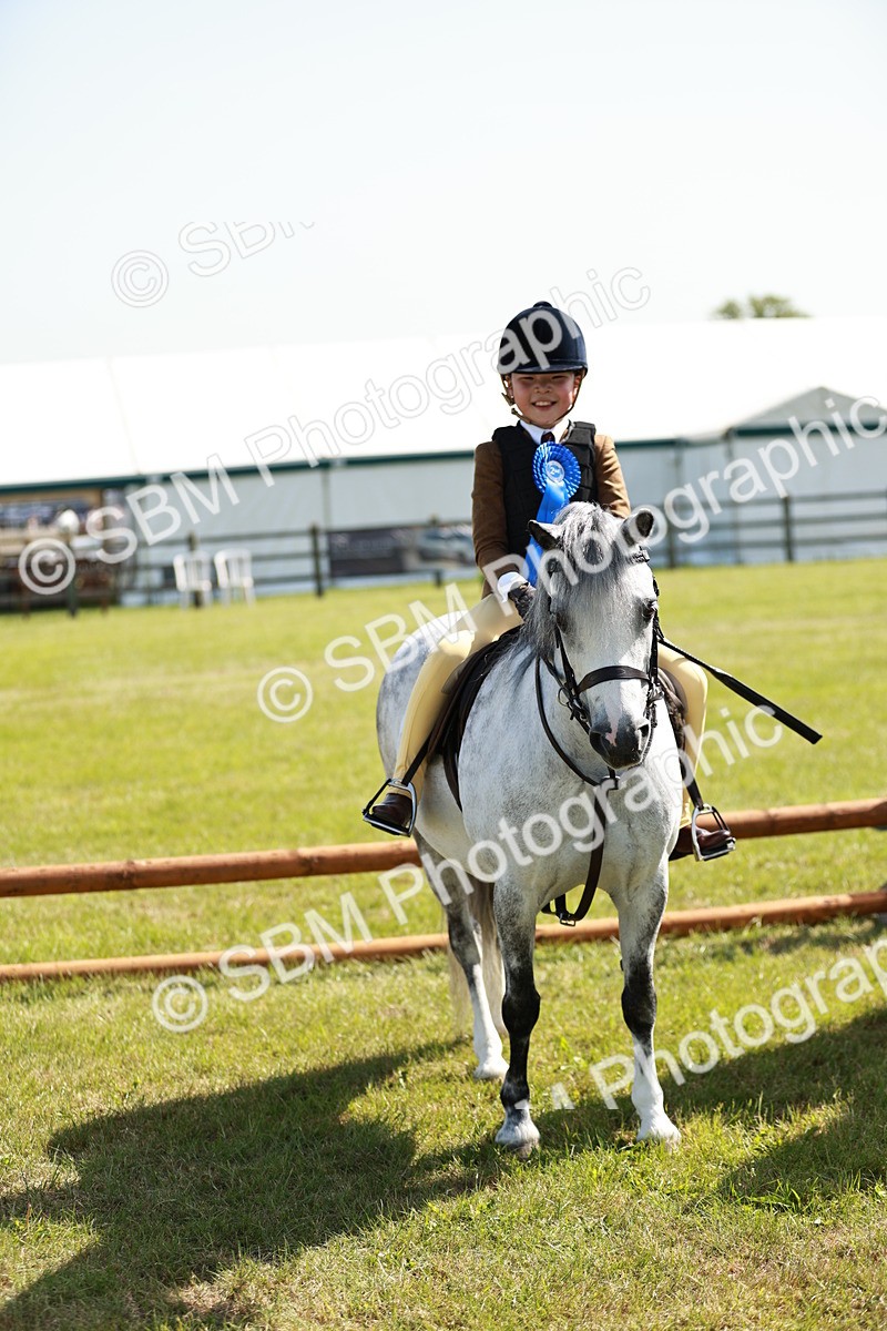 SBM_12793 - Class 106-107 - BSPS LIHS Working Sports Pony