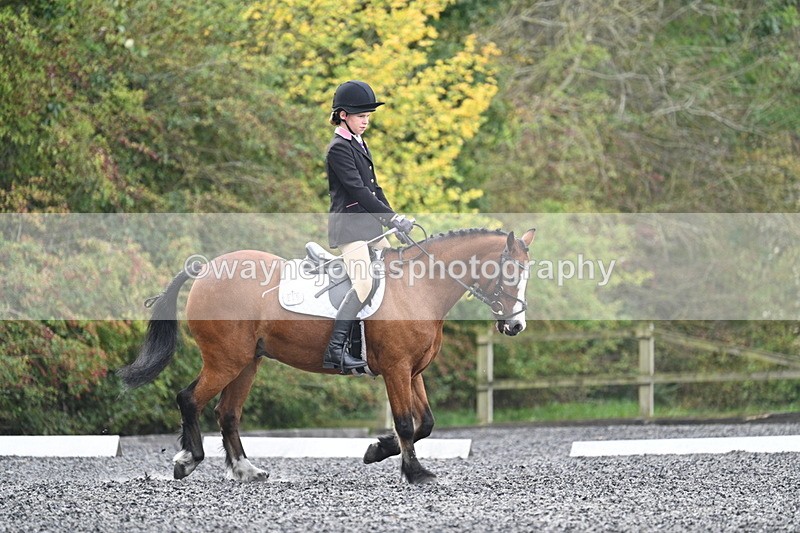 WJ7_3957 - Time 11:04 to 11:38