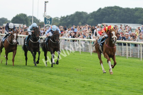 yr04092022r3-19 - Race 3 2.55pm The Elevator Company Garrowby Stakes