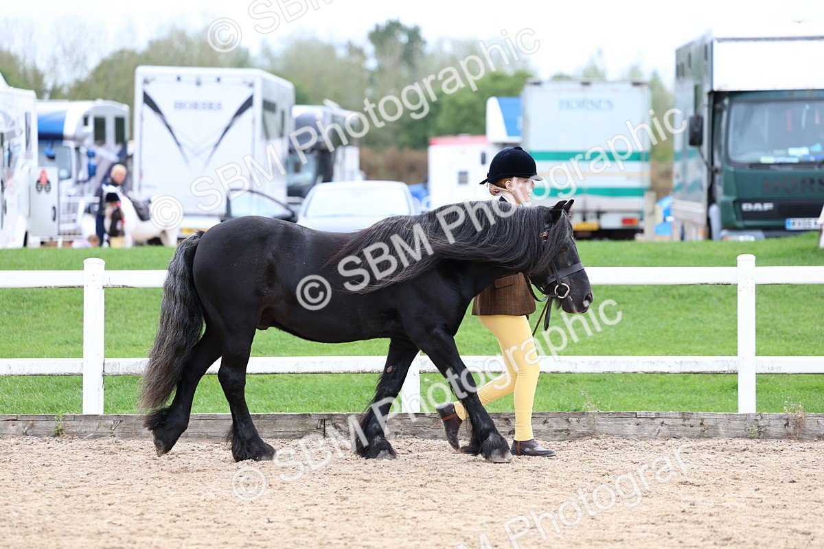 SBM_05809 - Class 29 - IH Veteran Pony
