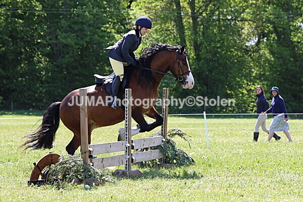 IMG_3504 - Working Hunter