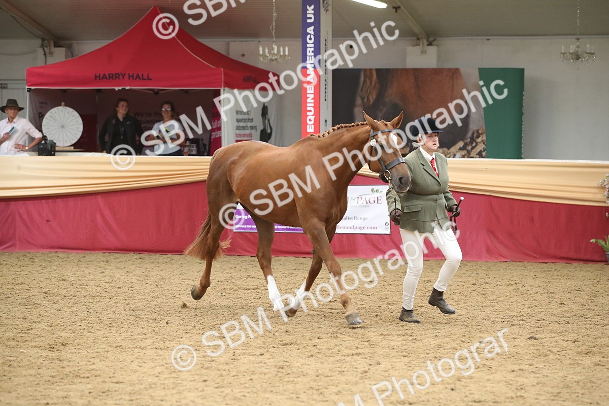 SBM_05710 - Class 9R - Regional IH Pre-Vet