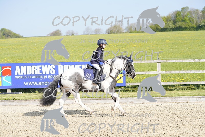 _DSC6485 - USJL Oakingham Stud 27.04.25