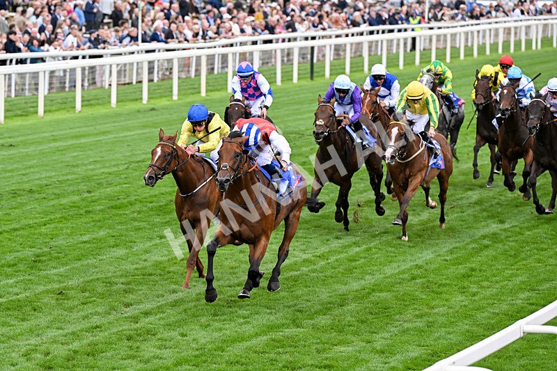 210826-Race 1-Blue Courvoisier-0074 - Race 1 13.50pm Sky Bet Mile Handicap