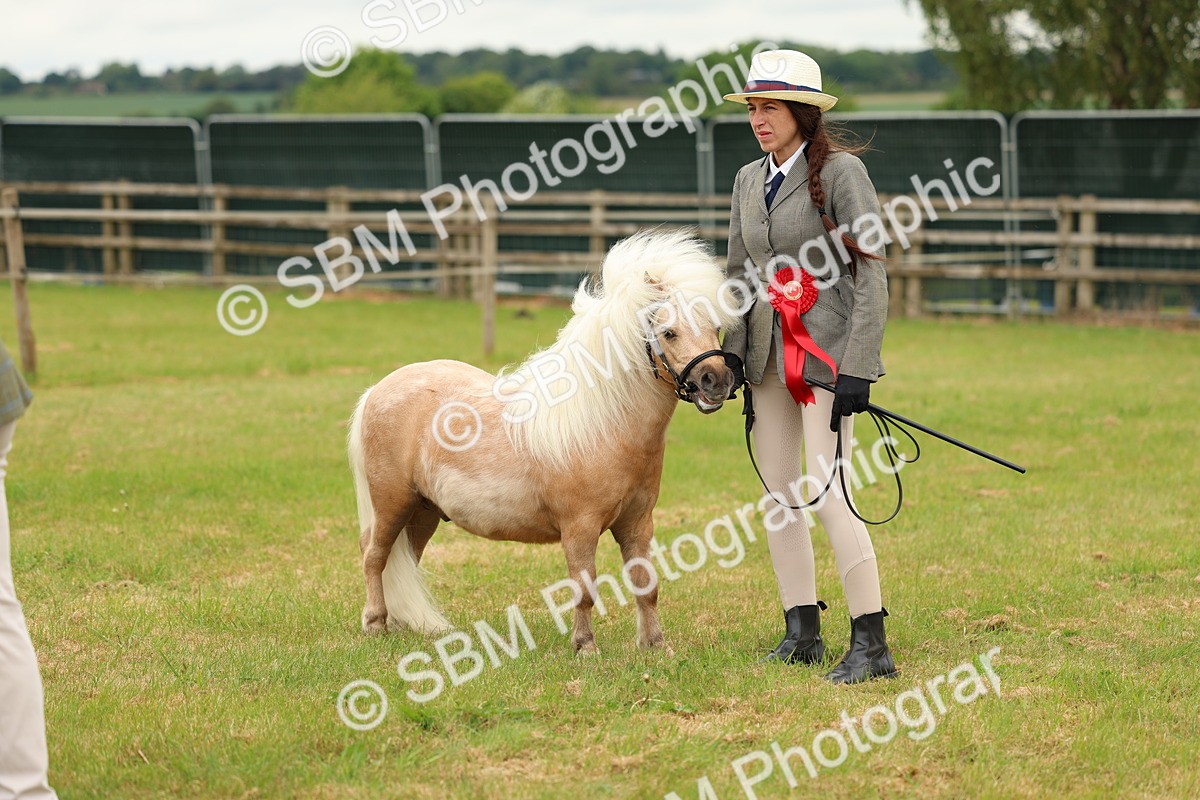 SBM_03521 - Class 58-67 - M&M Non Welsh Pony In hand